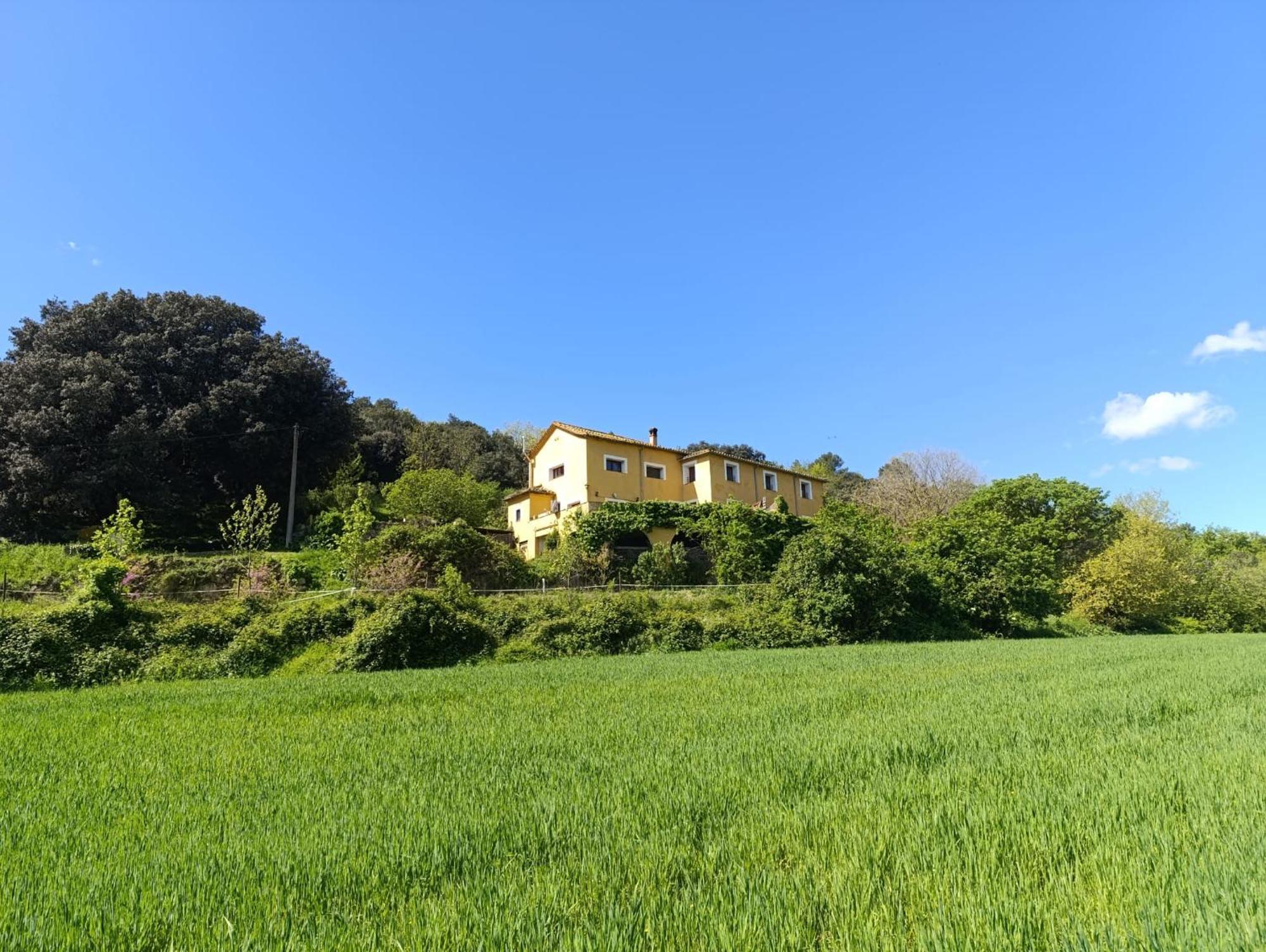 Mas Pitre Bed & Breakfast Besalu Exterior photo